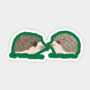 Two Hedgehogs Sticker